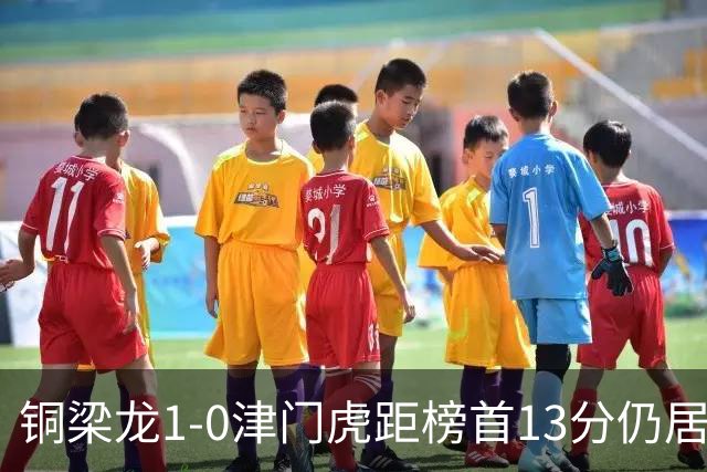 铜梁龙1-0津门虎距榜首13分仍居第2 肯帕努制胜 哈达斯绝平被吹